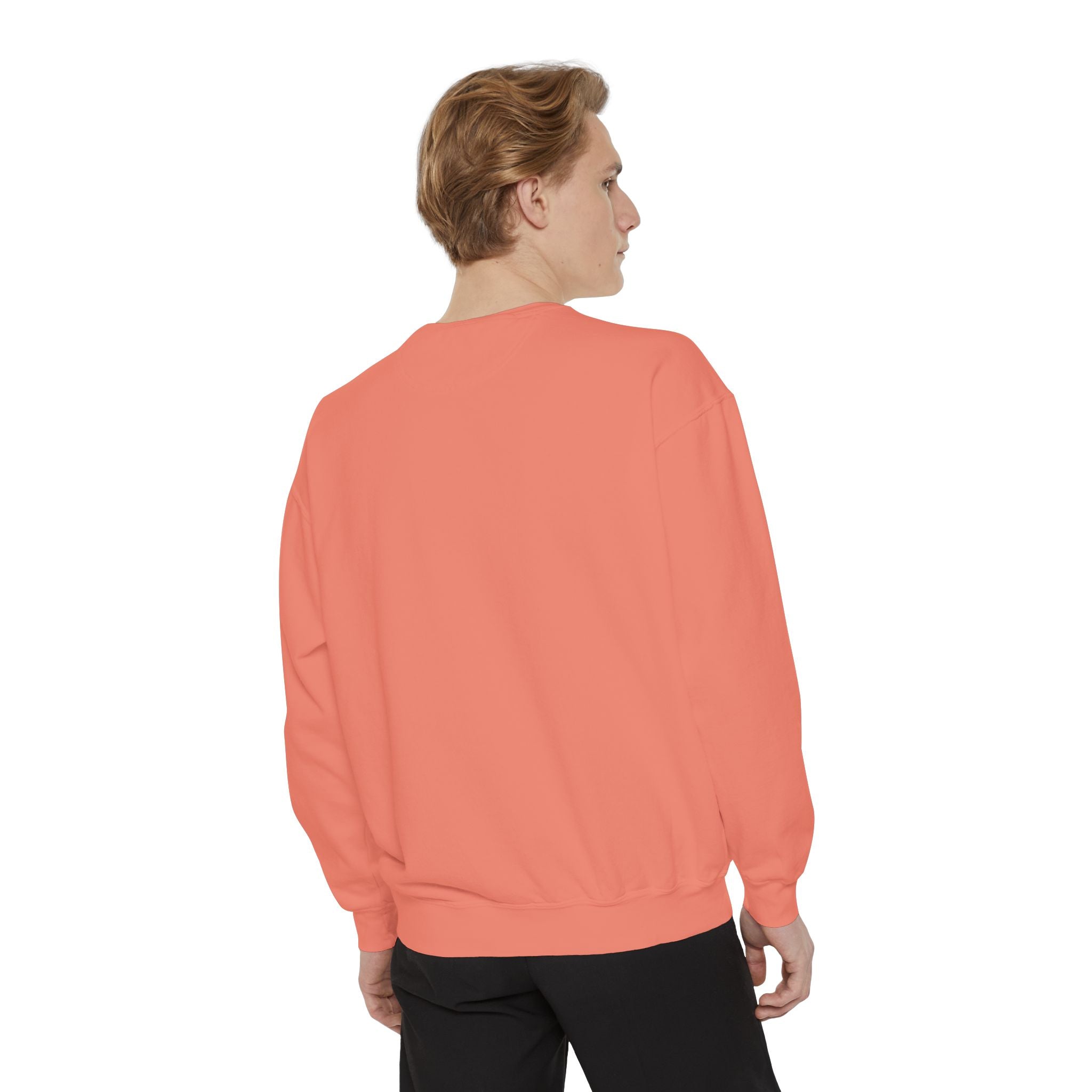Be the Friday Unisex Garment-Dyed Sweatshirt